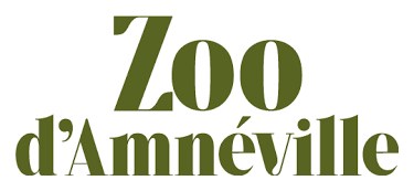 Optoma vuelve a cautivar al público con la experiencia de cine holográfico más grande del mundo