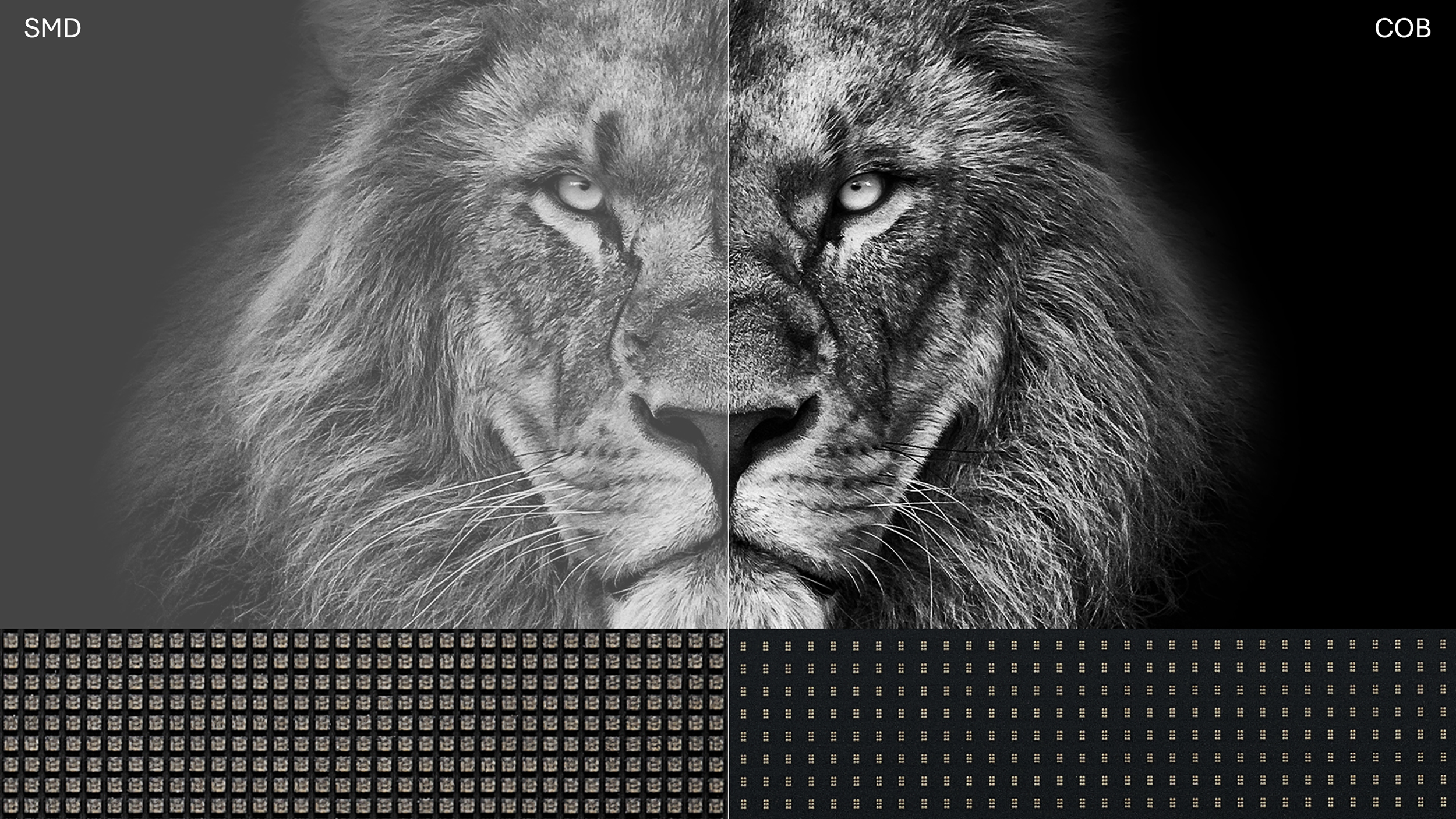 Tecnología COB Robusta