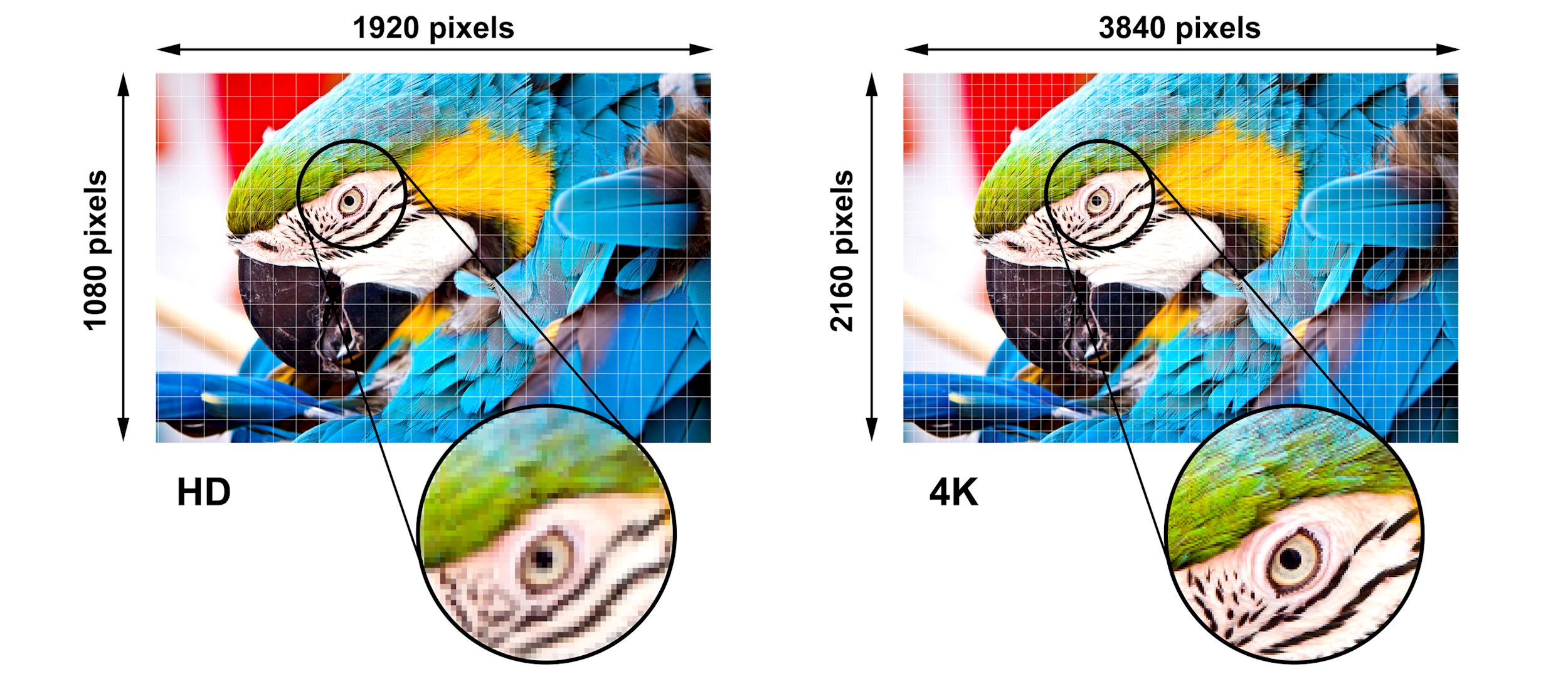 Resolución Ultra HD 4K 